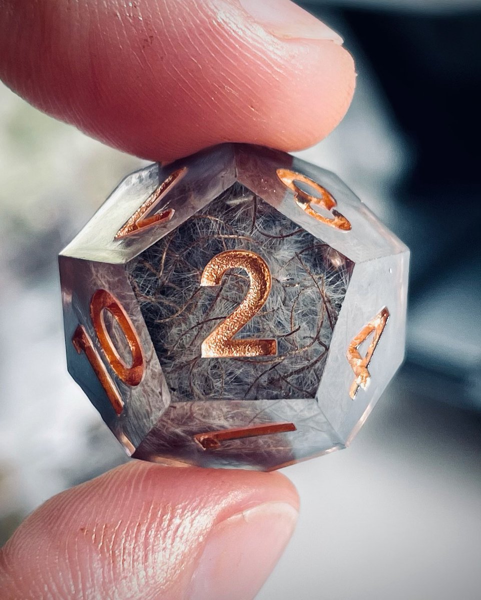 🌿Facet & Fern 🎲 tweet media