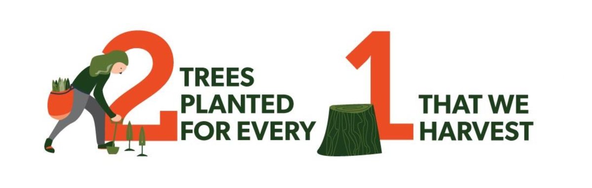 albertaforests's tweet photo. In Alberta, foresters plant more than a 1:1 ratio to ensure a thriving ecosystem. The plant to harvest ratio is 2:1, and sometimes, even more, are planted! 😊 #LoveABForests #TreePlanters https://t.co/jfwAGzLDm3