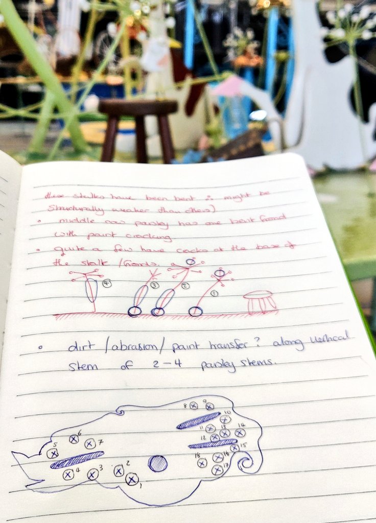 cefairless's tweet photo. My condition report is starting to look more like A level biology notes. #Conservation #ConditionReporting #CloudCuckooValley #CowparsleyMedow #GetAMoooveOn https://t.co/LhZACV4Uf9