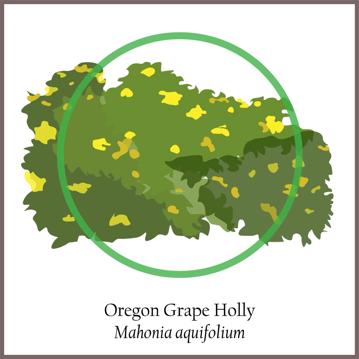 Center for Sustainable Landscapes and Communities tweet media