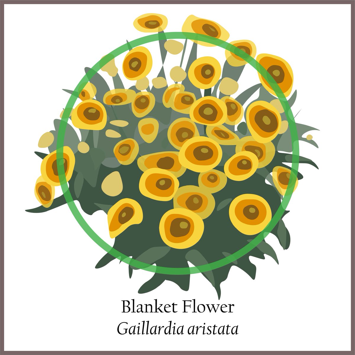 Center for Sustainable Landscapes and Communities tweet media