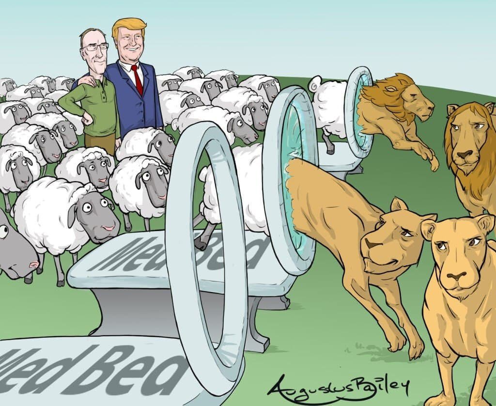 Emir66001's tweet photo. 🐏 en 🐆
Des moutons vaccinés en lions domestiques....
Merci Trump merci Bill https://t.co/IUgVml8CUw