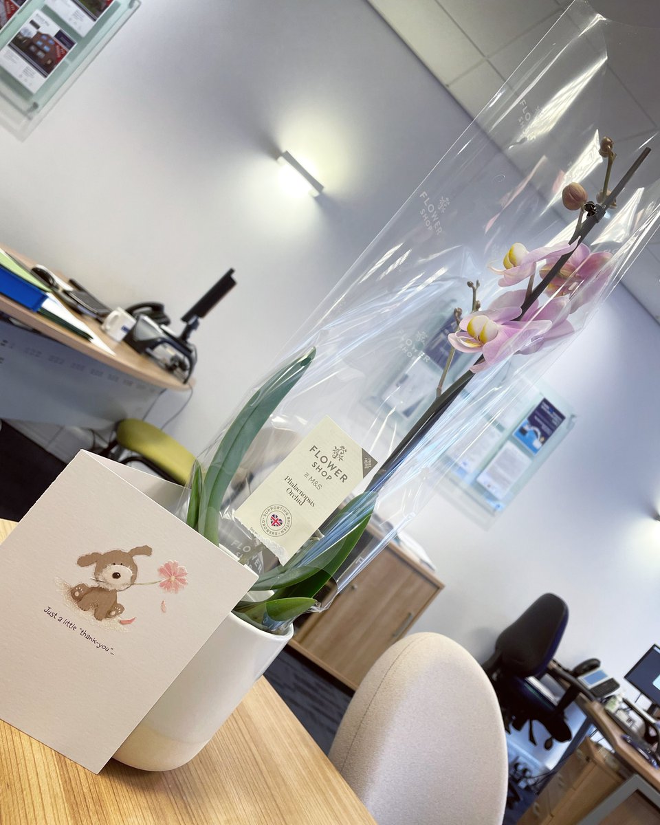LeadersSeven's tweet photo. One of our amazing tenants dropped in this lovely orchid and a card to say thank you for all of our help with their new tenancy💘 Contact us today if you are looking for a rental property in Sevenoaks! 
01732460950📞 
sevenoaks@leaders.co.uk ✉️ https://t.co/75YtETLR52