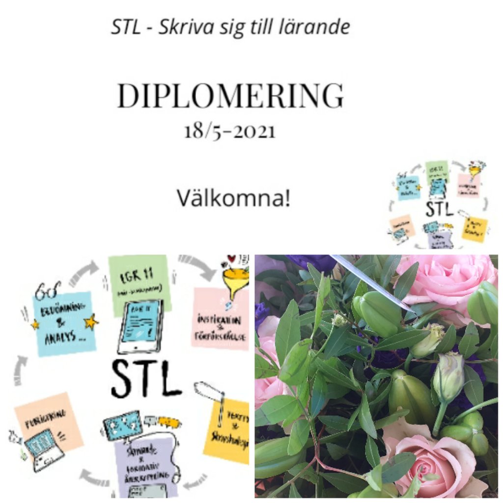 Så har vi diplomerat och firat av årets deltagare på #STL-utbildningen i #solskol 
Fantastiskt bra jobbat alla och stort tack för i år! <a href="/AntonieCaroline/">SOCaroline</a>