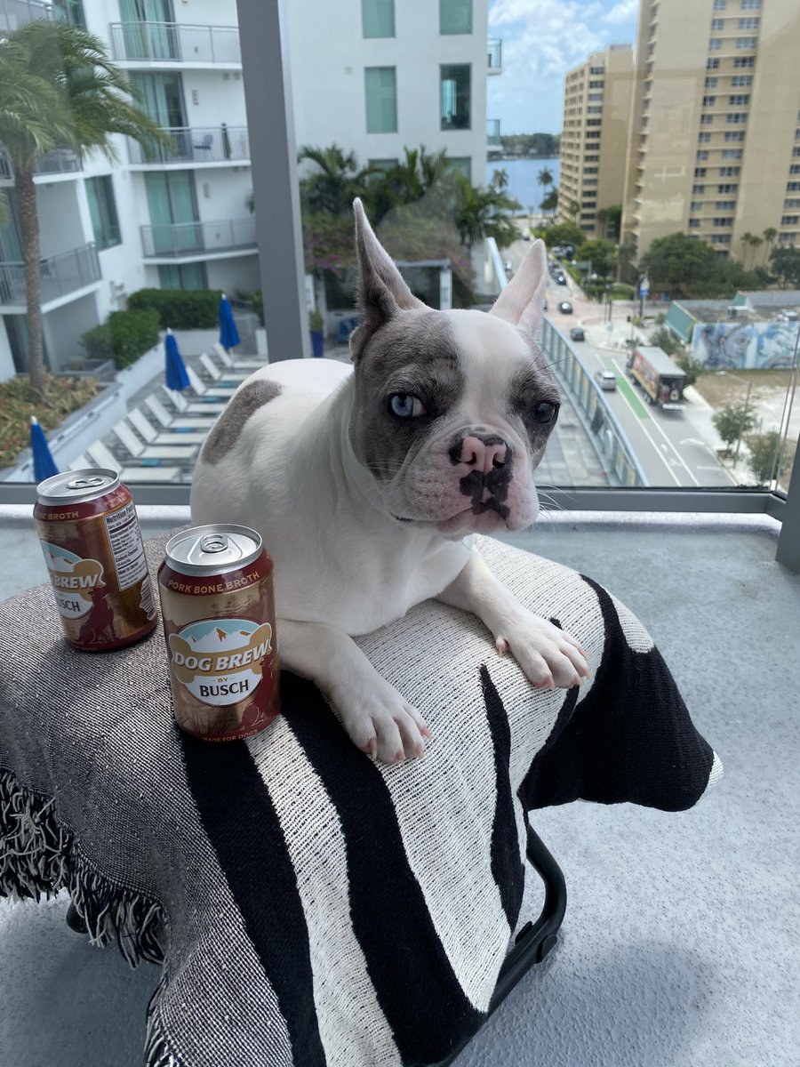 GoKnights_PaulJ's tweet image. #BuschCTOcontest