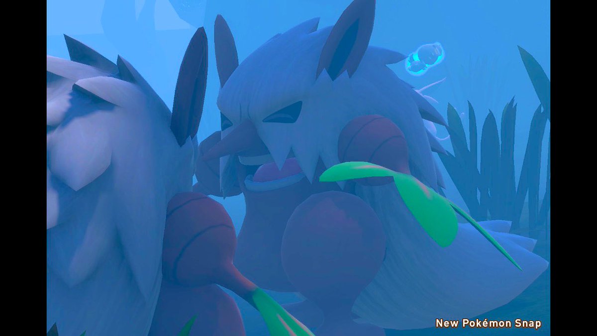 ポケモンスナップ ダーテングの出現場所や特殊行動 ポケスナ 攻略大百科