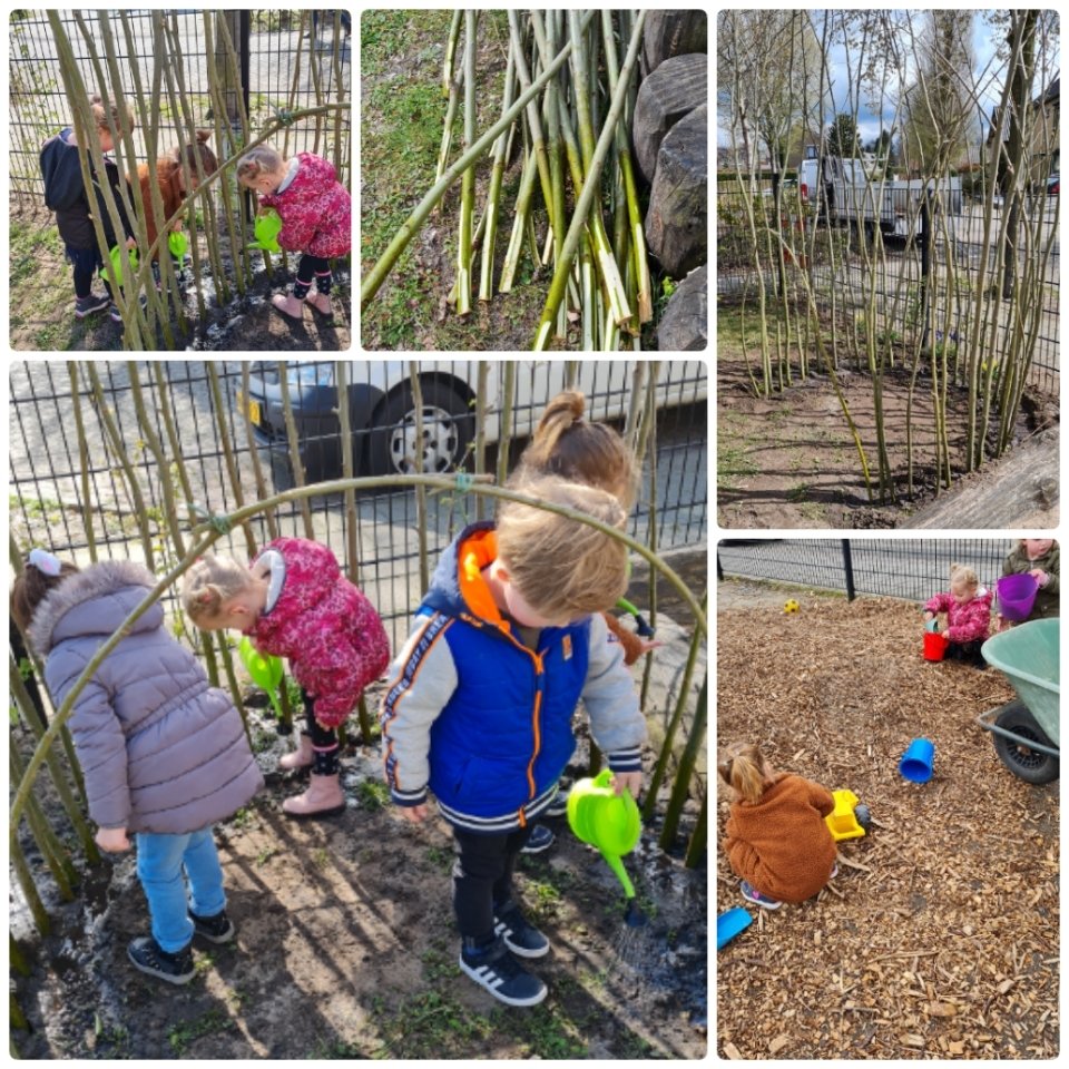 DAG VAN DE GROENE KINDEROPVANG <a href="/GroenCement/">Groen Cement</a> 
Wij bouwden een wilgenhut. Aandacht voor buitenspel en natuur, wat doe jij in of met natuur? #metselaar  #buitenruimte #dvdgkov #gezond #buitenspel #dagvandegroenekinderopvang