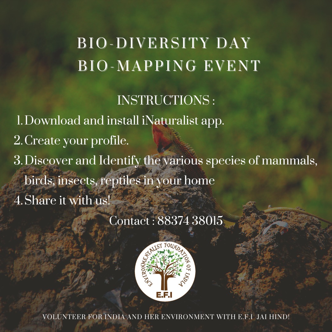 EFIVolunteer's tweet image. Celebrate #InternationalDayofBiodiversity the E.F.I way!

Join us this Saturday for a #BioMapping event right from your home! Check out the instructions from the post.

Register: forms.gle/cJd6BzbND6smPY…