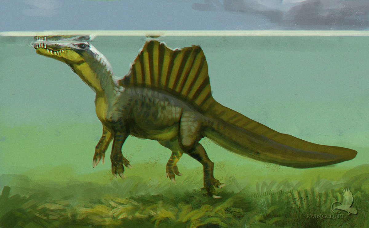 Hedax art tweet media