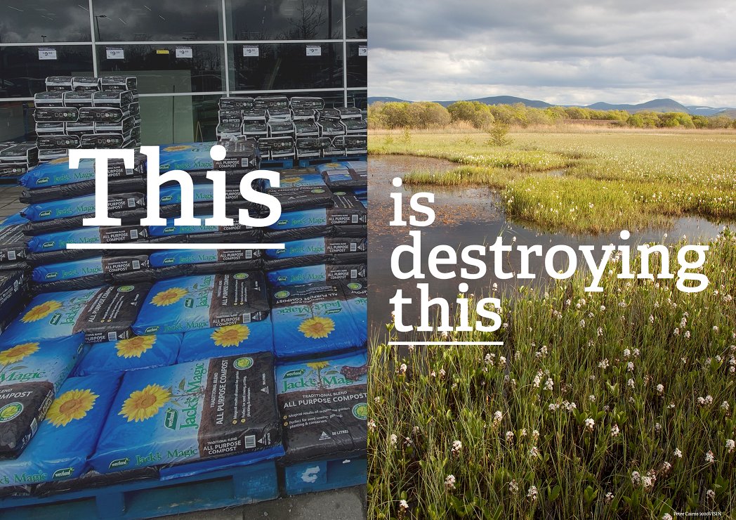 The announcement today of a potential peat ban is welcome - but the timeline is not. A ban on sales to gardeners is long overdue and must happen as soon as possible - and definitely before 2024.
