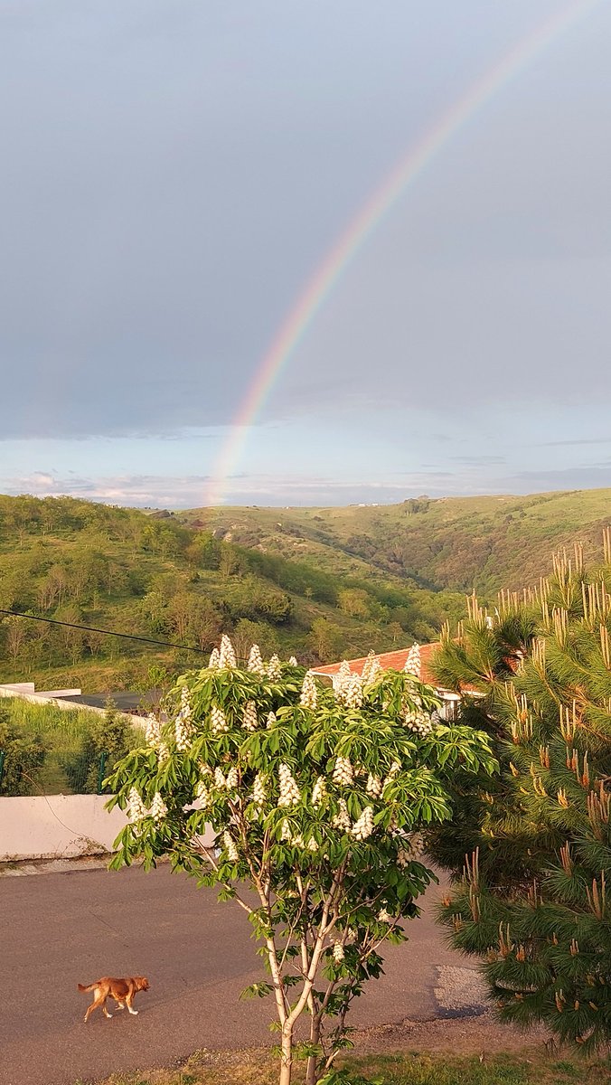 Yağmur sonrası #Sinop 🦋🌈