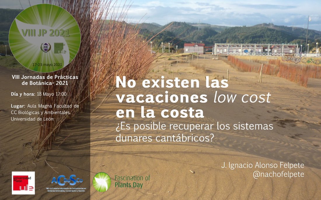 CarmenAcedo's tweet photo. Orgullosa de que un proyecto personal siga teniendo continuidad - inauguradas las #VIIIJornadasDePracticasDeBotanica @unileon #FCCBA Conferencia invitada de @nachofelpete sobre gestión dunar. Síguela en directo en https://t.co/eq9OgiR0fZ https://t.co/XMViH8yO8i