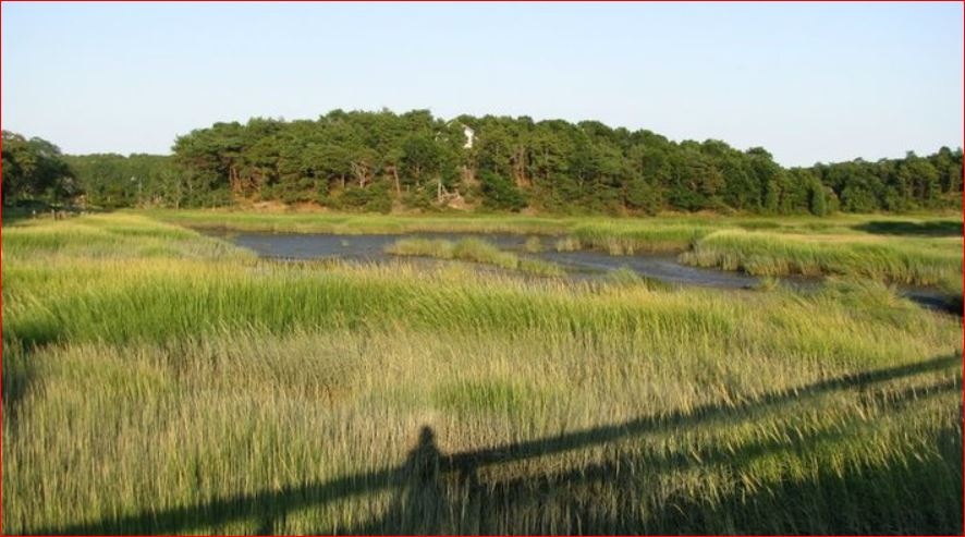 'Be who you were created to be, and you will set the world on fire.' —Saint Catherine of Siena

#CapeCod #Beauty #Magic #Connectionwithnature #Connectionwithyourself #SeekingPrimal  #capecod #scenesofnewengland #newenglandoutdoors #newenglandpictures