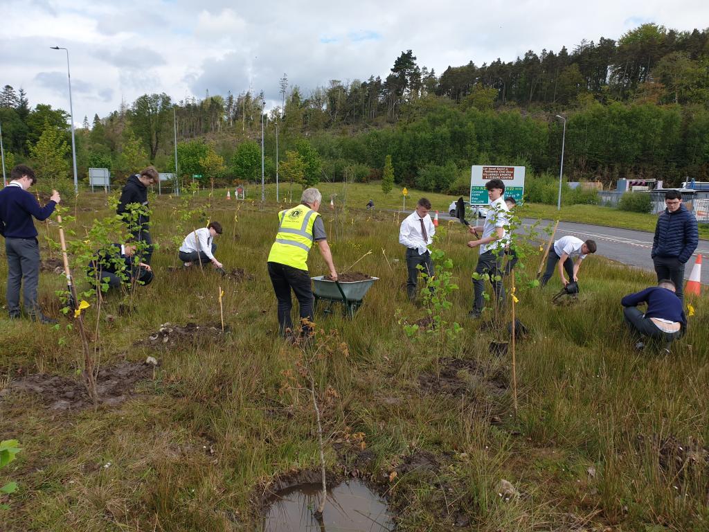 thesemkillarney's tweet photo. Our TY students planting Hazel trees. Over 70 tree will be planted by the 3 schools this week. It's a fantastic experience that was initiated by the Killarney Lions Club. We wish to thank them for the horticultural talk and facilitating our students. https://t.co/pzvSzL42Mr