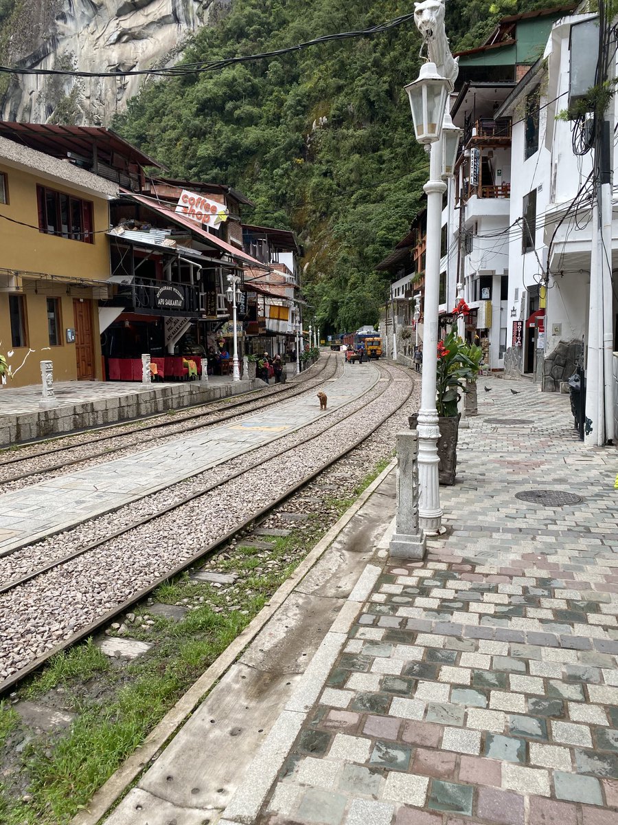 Pardes Seleh 🧜‍♀️ tweet media