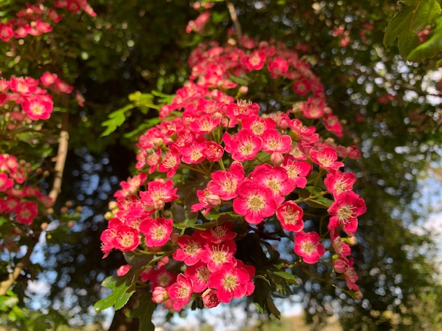 Powerforhealth's tweet photo. Every moment is precious so enjoy this beautiful world.
#MentalHealthAwarenessMonth #CreativityandWellbeingWeek #powerforhealth https://t.co/Uul5QP5K5N