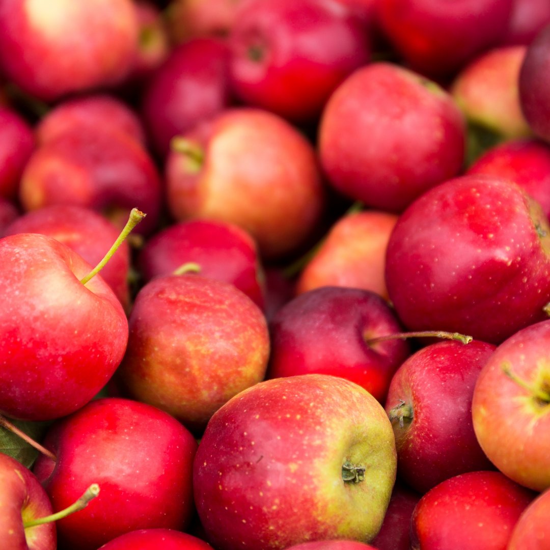 An apple a day keeps the doctor away…

Which do you prefer, green or red?

#NorthEast #Wholesalers #FoodSupplier #LocalSupplier