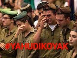 ISShamizza92's tweet photo. @IDF https://t.co/guh0WOa67l