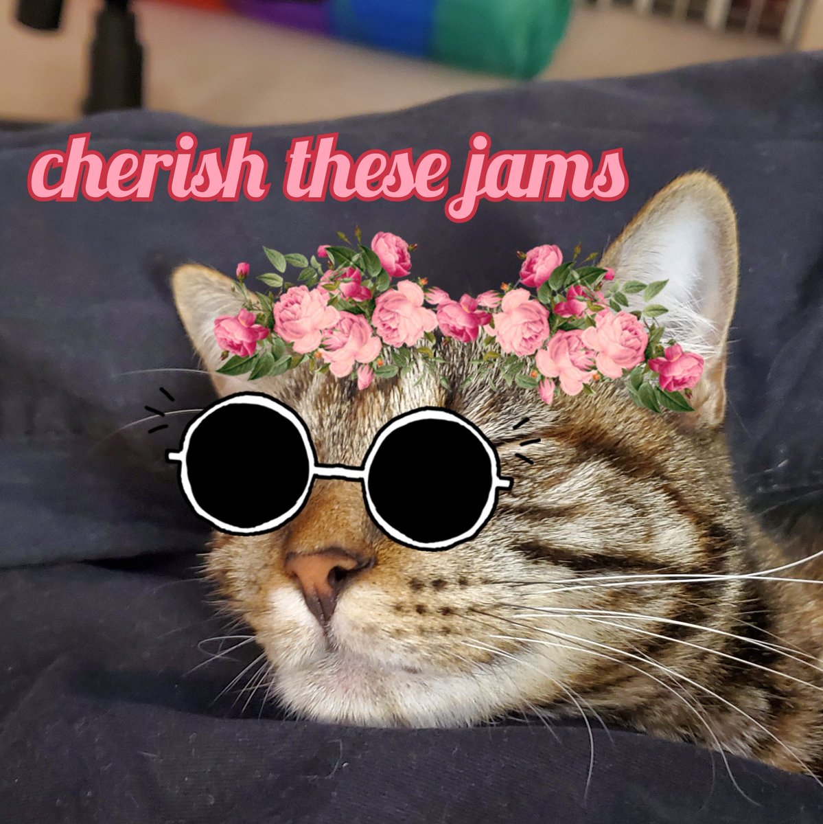 𝙘𝙝𝙚𝙧𝙞𝙨𝙝 𝙩𝙝𝙞𝙨 - the family I chose tweet media