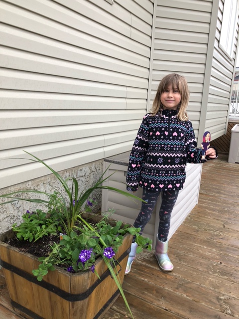 MrsSaundersCG's tweet image. Students are keeping Flat Mrs. Saunders busy, as usual.  Petra let me help plant flowers in the yard - I can&apos;t wait to see them in full bloom! #flatmrssaunders @togetherwhenapart @FMPSD @BeaconhillFMPSD @abbott_graham