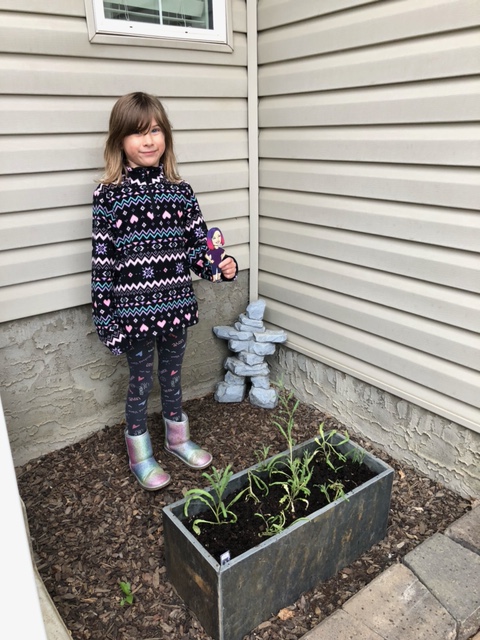 MrsSaundersCG's tweet image. Students are keeping Flat Mrs. Saunders busy, as usual.  Petra let me help plant flowers in the yard - I can&apos;t wait to see them in full bloom! #flatmrssaunders @togetherwhenapart @FMPSD @BeaconhillFMPSD @abbott_graham