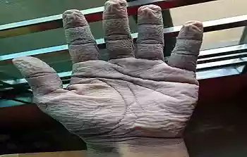 kipoche7's tweet photo. You become viral very soon go on viralpic and select any viral news and share it on your social media.
https://t.co/64giAEDvyK https://t.co/EuVTPms6S2