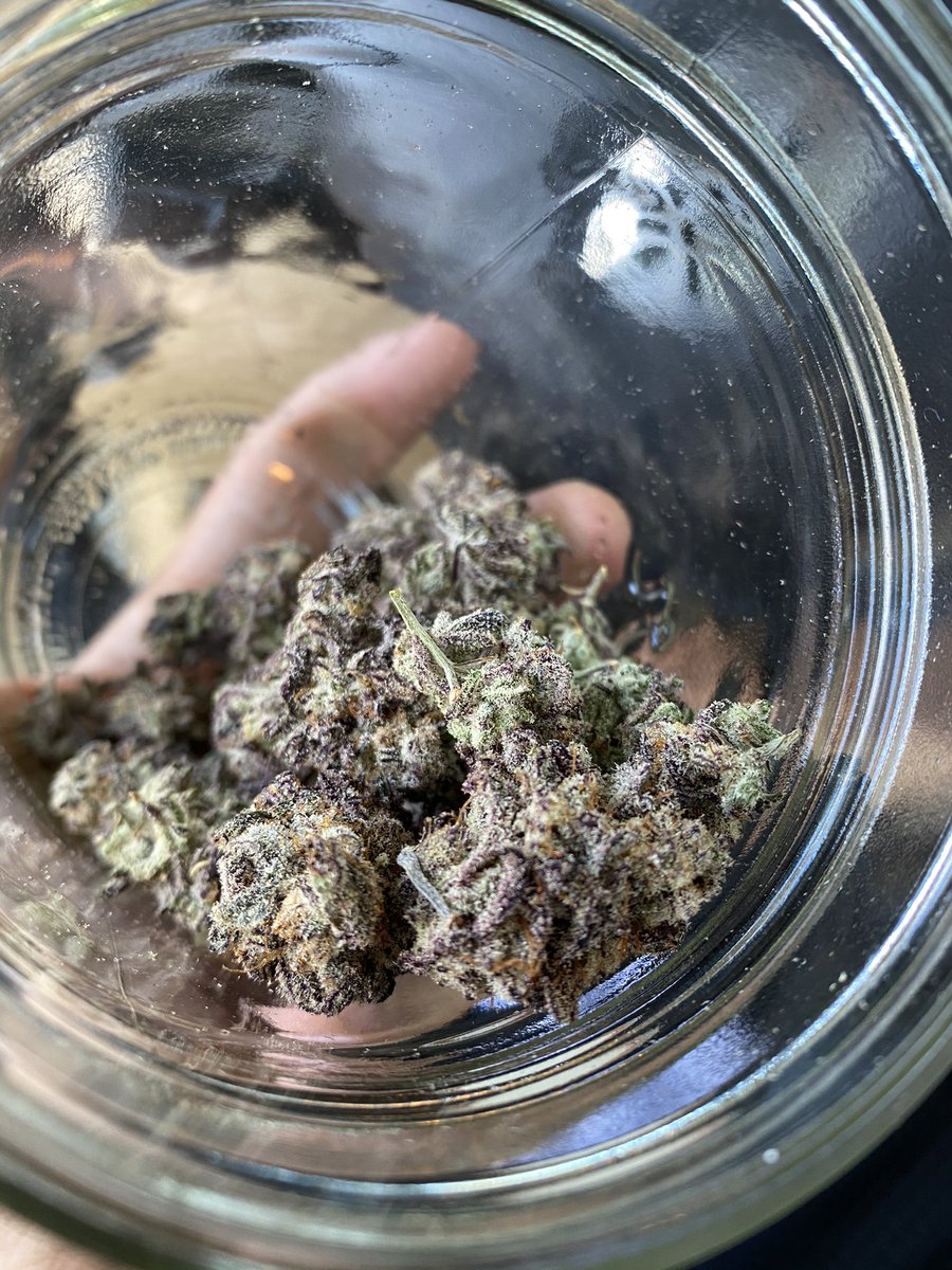ConnaitreFinest's tweet photo. My brother @PlayaSlap_ asked where I bought this Mac1... I grew it family 

#nomoremids #cannabisindustry #Californiastrong #homegrown #mac1 https://t.co/gQyC2PqOnF