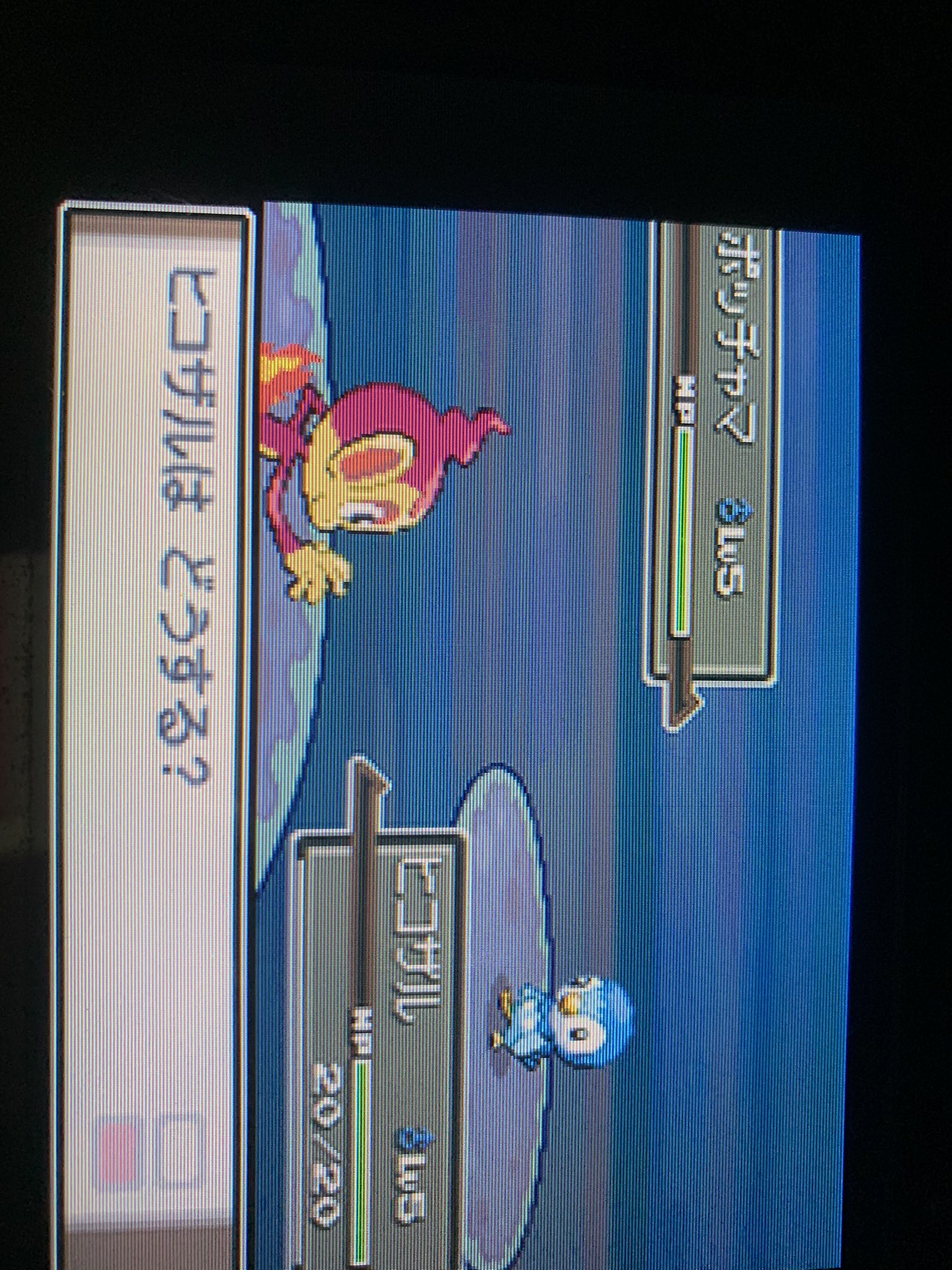 さむらごうち ヒコザル色違い発見 ポケモン ポケモンプラチナ ポケモン色違い T Co Fvhesh5elj Twitter