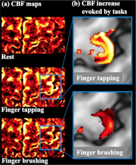 Kay Jann, PhD tweet media