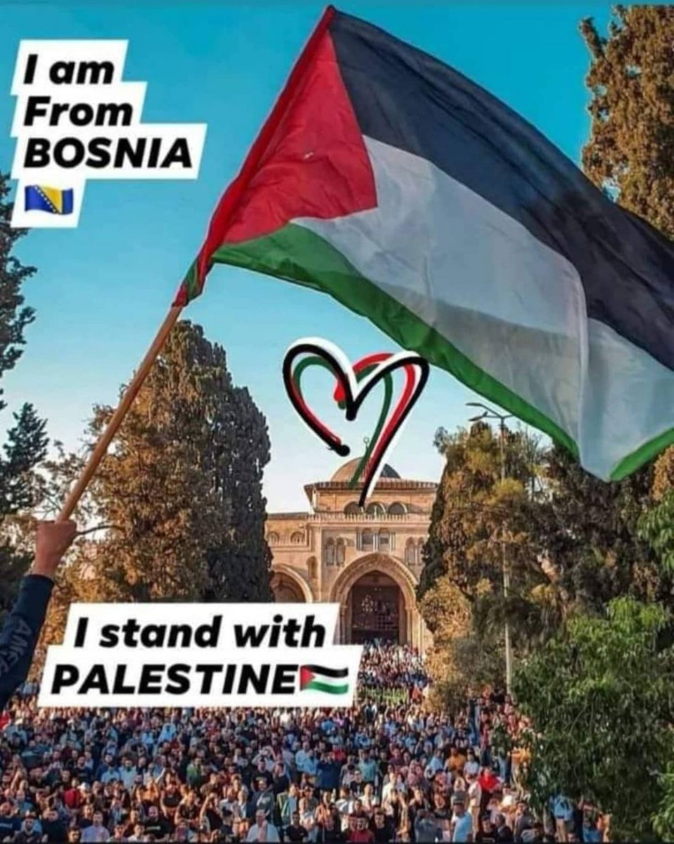 KonjoEdin's tweet photo. @DavidHarrisAJC @AJCLatino @AJCBerlin @AJC_CE @AJCTAI @Christodulides @_SzabolcsTakacs @martinoweiss @LithuaniaMFA @FloretaFaber @marcospeckel Bosnia is not for israel, Bosnia stand with Palestine, Palestine is in our hearts in the hearts of the people of Bosnia https://t.co/sGYhshVOrz