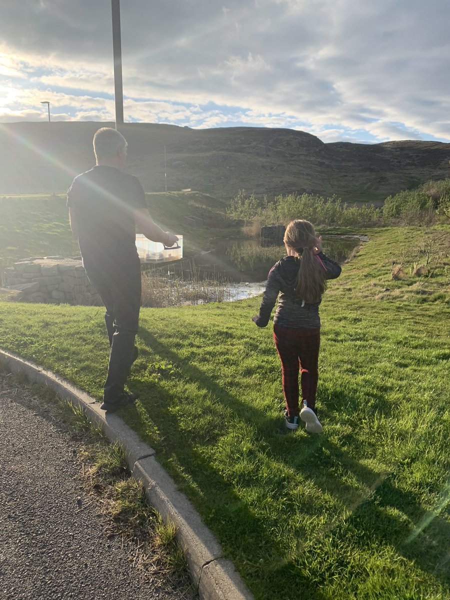 GerrardAmz's tweet photo. An emotional, yet thrilling life experience for the littlest Gerrard. Raising and releasing tadpoles. She has the biggest heart. Super proud mummy and daddy moment. #growingtooquickly #miraclebaby https://t.co/QB4mcV3uy0