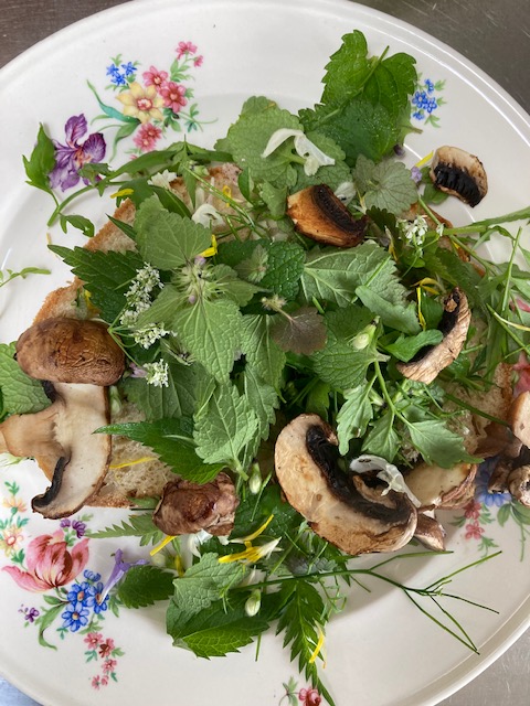 Your Healthy &amp; Healing Community Garden 💚 - mailchi.mp/1a5792753063/s…