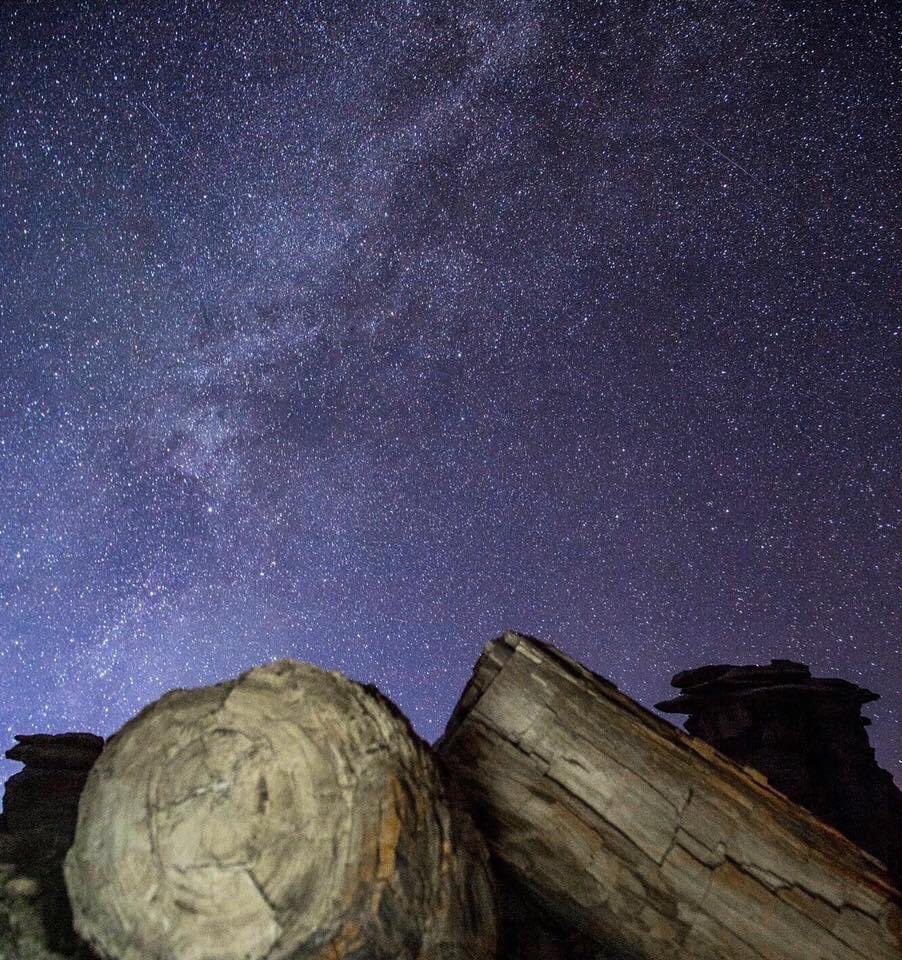 NatlParkService's tweet photo. At first I was a tree, now I’m petrified. Thinking all my wooden rings had turned to stone inside...⁣🎶
⁣
I will survive! Two of the icons of Petrified Forest National Park includes petrified wood and the night sky. What do you think of this view?⁣

📸: @petrifiedforestnp https://t.co/WQ7X3Ow65F
