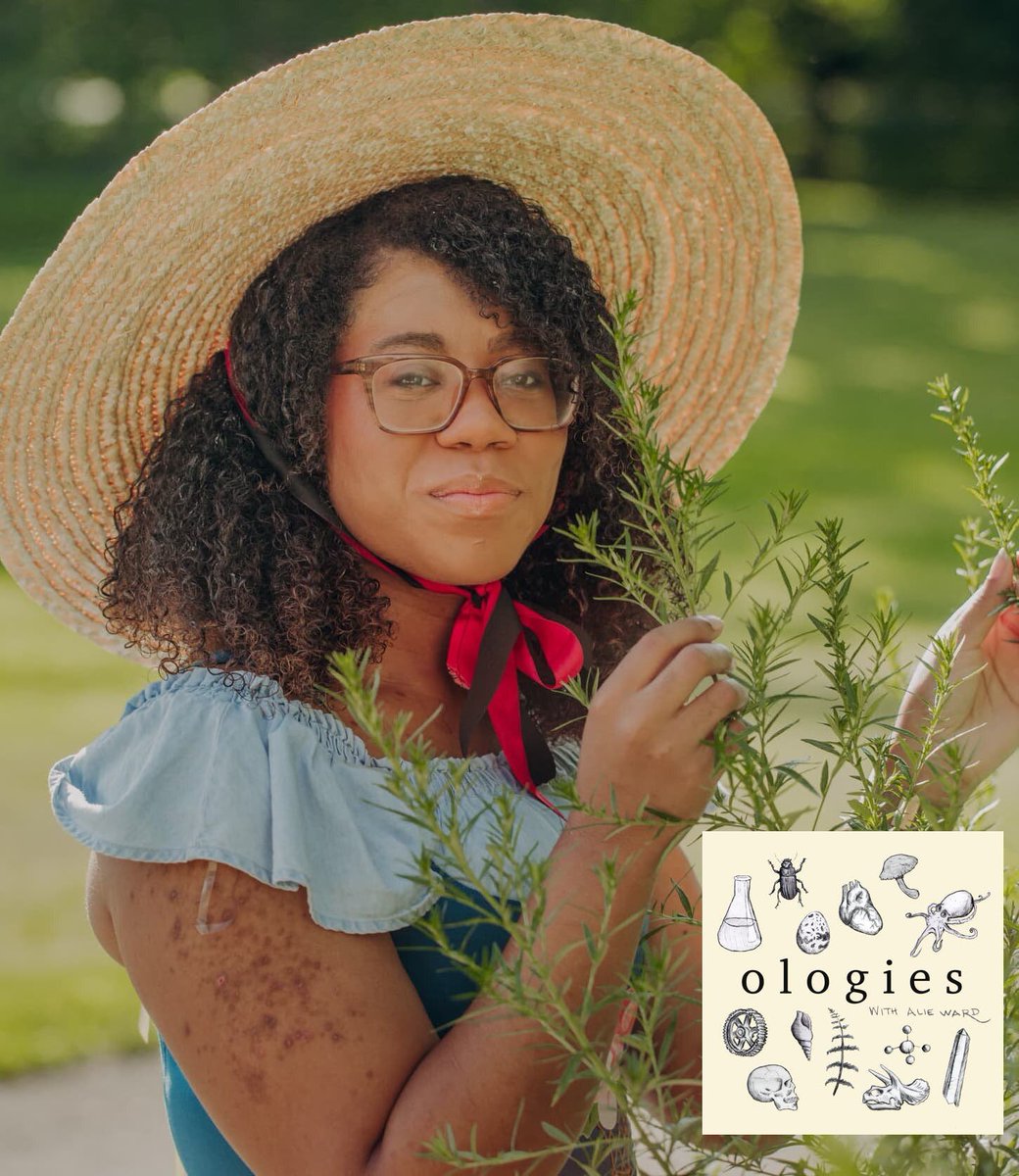 Ologies's tweet image. YESSSS! #ForagingEcology with ✨the✨ @blackforager is up! Mustard gossip. Knotweed recipes. Cow parsnips. Serviceberry appreciation. Hogweed warnings. Dead man’s fingers. Bring your brain &amp;amp; appetite &amp;amp; heart because we LOVE Alexis. Get it:

Alieward.com/ologies/foragi…