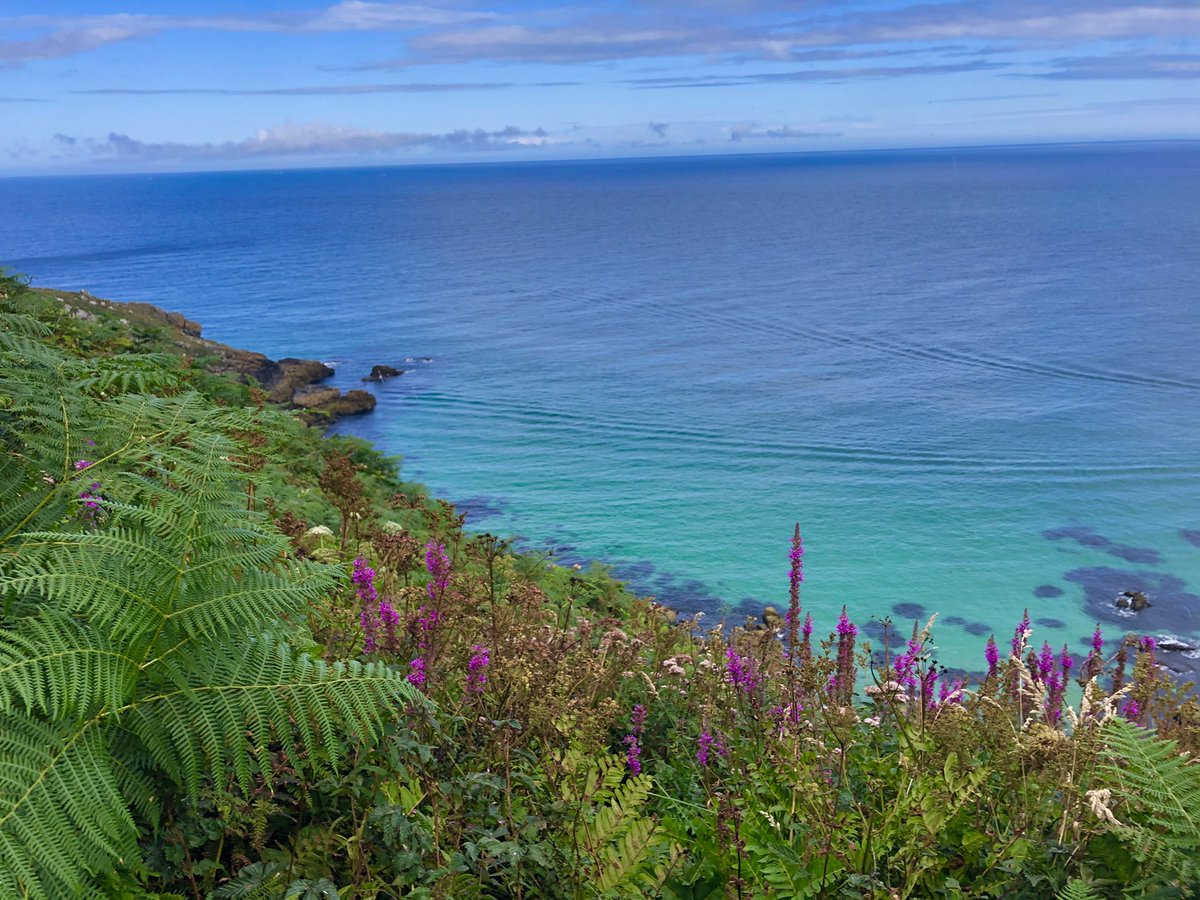 TruroMedSoc's tweet photo. The 3 runners up who were shortlisted for our photo competition were:
Rebecca Wood with "St Ives to Zennor"
Sam Choroszewski with "Pot of gold off the north shore"
Rasila Chhetri with "Porthtowan by day" https://t.co/tgxaCt23l0