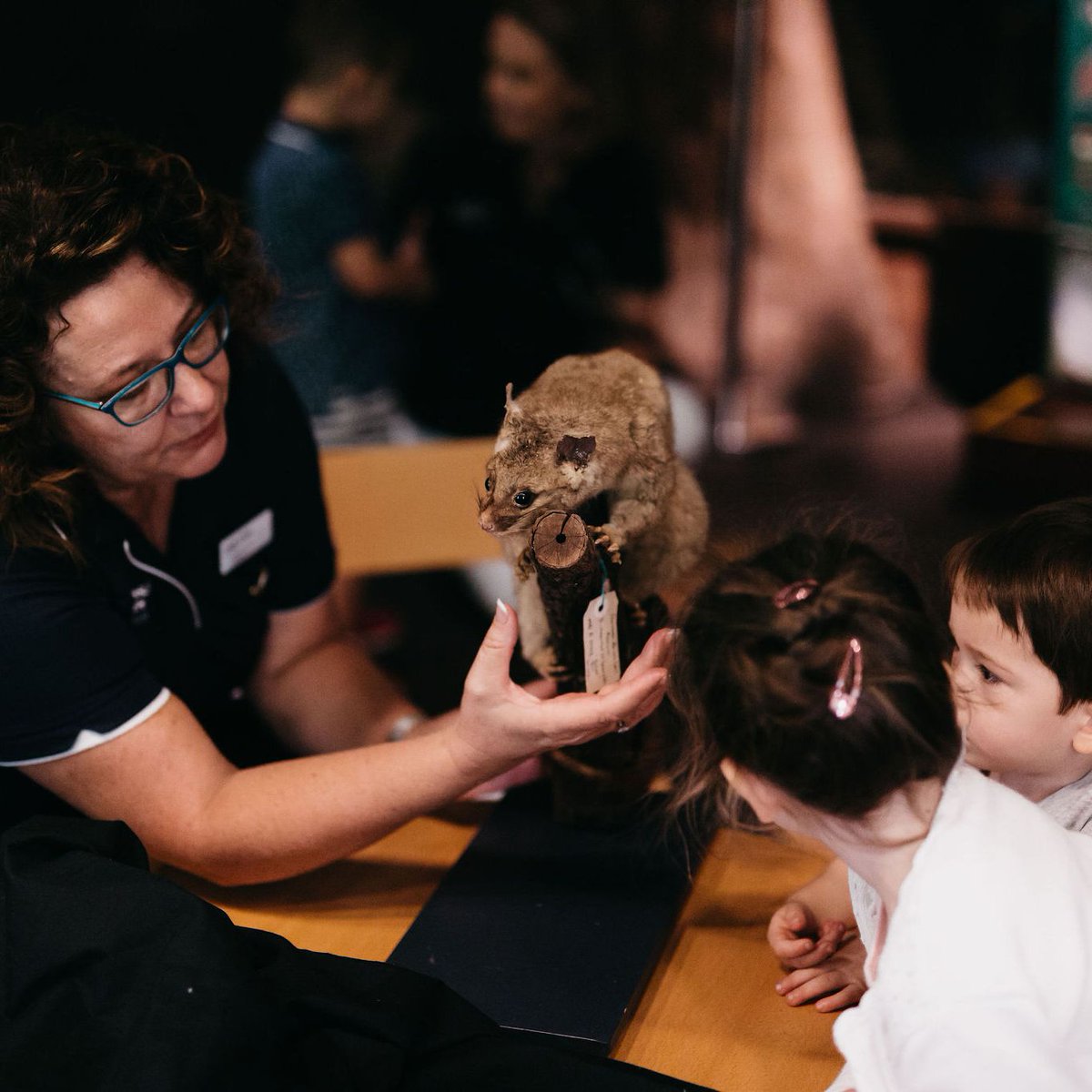 QMtropics's tweet image. Thank you to all of our incredible volunteers who play an important role at the museum and across the entire Queensland Museum Network! ❤️🙏 

#QMNetwork #NVW2021 #museumoftropicalqld