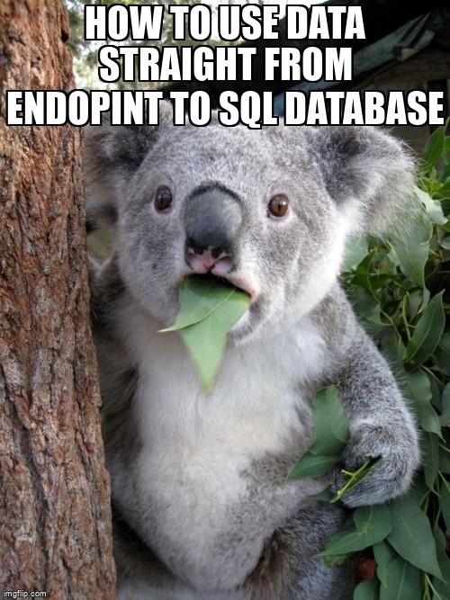 overflow_meme's tweet image. How to use data straight from endopint to sql database stackoverflow.com/questions/6758… #python #psql #flask