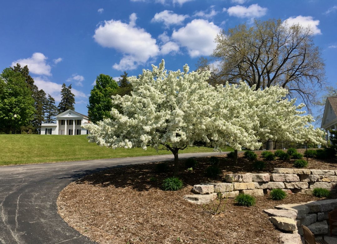 Celebrate International Museum day by visiting your favorite historical site and with a picnic at Heritage Hill! Admission is still waived and we'd love to have you stop for a visit.

#Springtime #BeautifulDay #InternationalMuseumDay #Picnic #CelebrateHistory