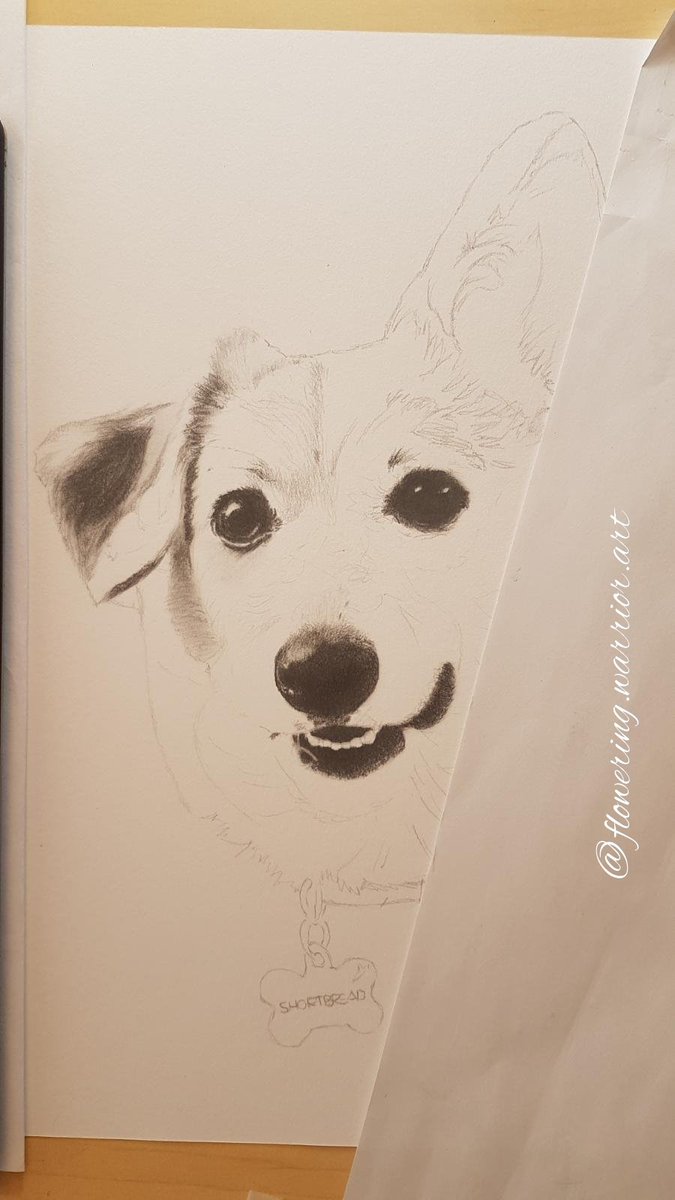 FlowerinWarrior's tweet photo. New #commission started

#pencildrawing #wip https://t.co/SwZWMawk6v