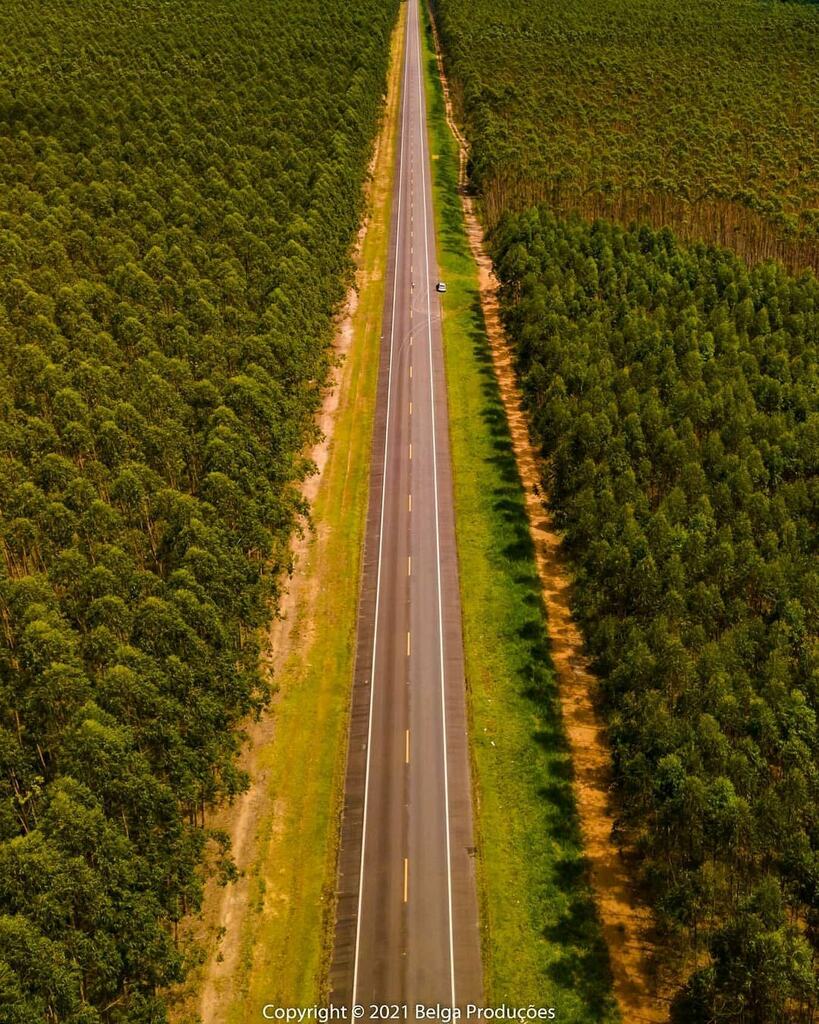 capixabadagema's tweet photo. Estrada que se liga da BR 101 a Cidade de Conceição da Barra ES.
Foto• @belgaproducoes
#travel #capixabadagema #gazetaonline #guaraparibeach #djiglobal#mtur #regiaosudeste #somostodoscapixaba #euamo_es #vidacapixaba #natgeotravel #brazil_repost #pa… https://t.co/Z5dWYTncuE https://t.co/bzDmXYRVvW