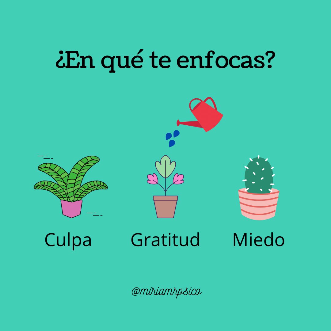 MiriamRPsico's tweet photo. Los ejercicios de gratitud fomentan una visión positiva de la vida, desarrollan la resiliencia, la autoestima, la fortaleza mental y, en definitiva, la felicidad.  
¿Practicas la gratitud en tu día a día? ✨

#fortalezas #psicologíapositiva #gratitud #bienestar #psicología #salud https://t.co/yCspS36QkD