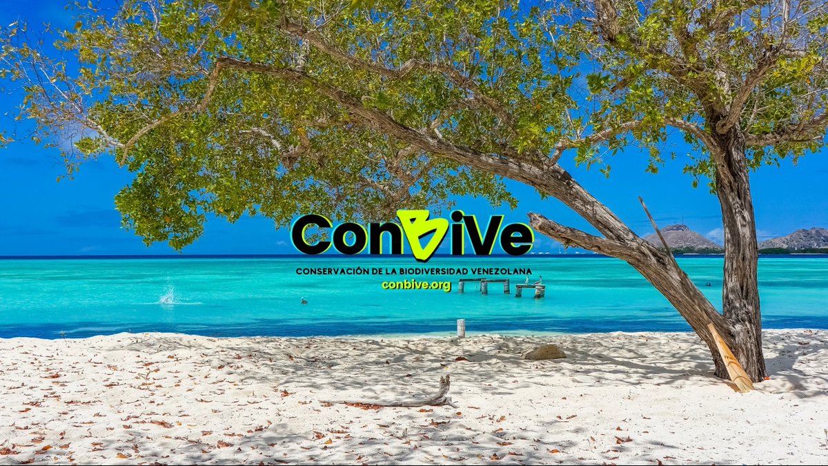 Venezuela alberga el 9% de la Biodiversidad del planeta.
Un motivo más para estar orgullosos de esta tierra y trabajar con pasión en la protección de los ecosistemas y en la búsqueda de alternativas para el desarrollo sostenible de nuestro pais.
 #SomosBiodiversidad #22May
