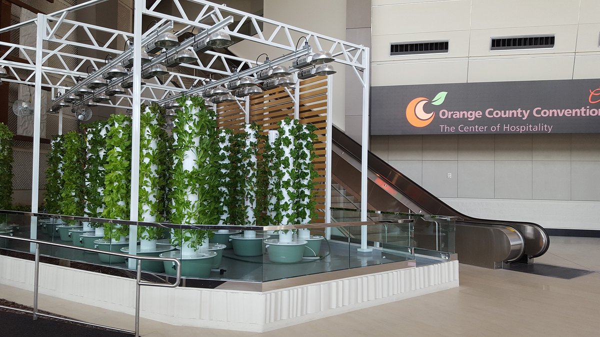 OCCC's tweet photo. 🥬🍽️The OCCC’s Center to Table Gardens have helped feed thousands of families during the pandemic. Last month, in partnership with @CenterplateO and Urban Smart Farms, we celebrated 50,000 plants donated to local organizations. #HeartofIDrive
✨Watch: https://t.co/OqjQYglrXc https://t.co/9KqTaatqqr