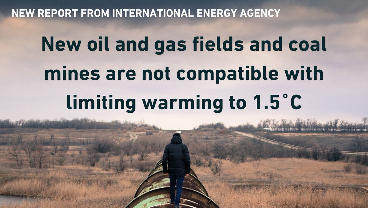 David Suzuki FDN tweet media