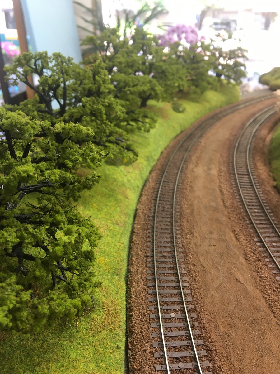 トレインドリーム tweet media