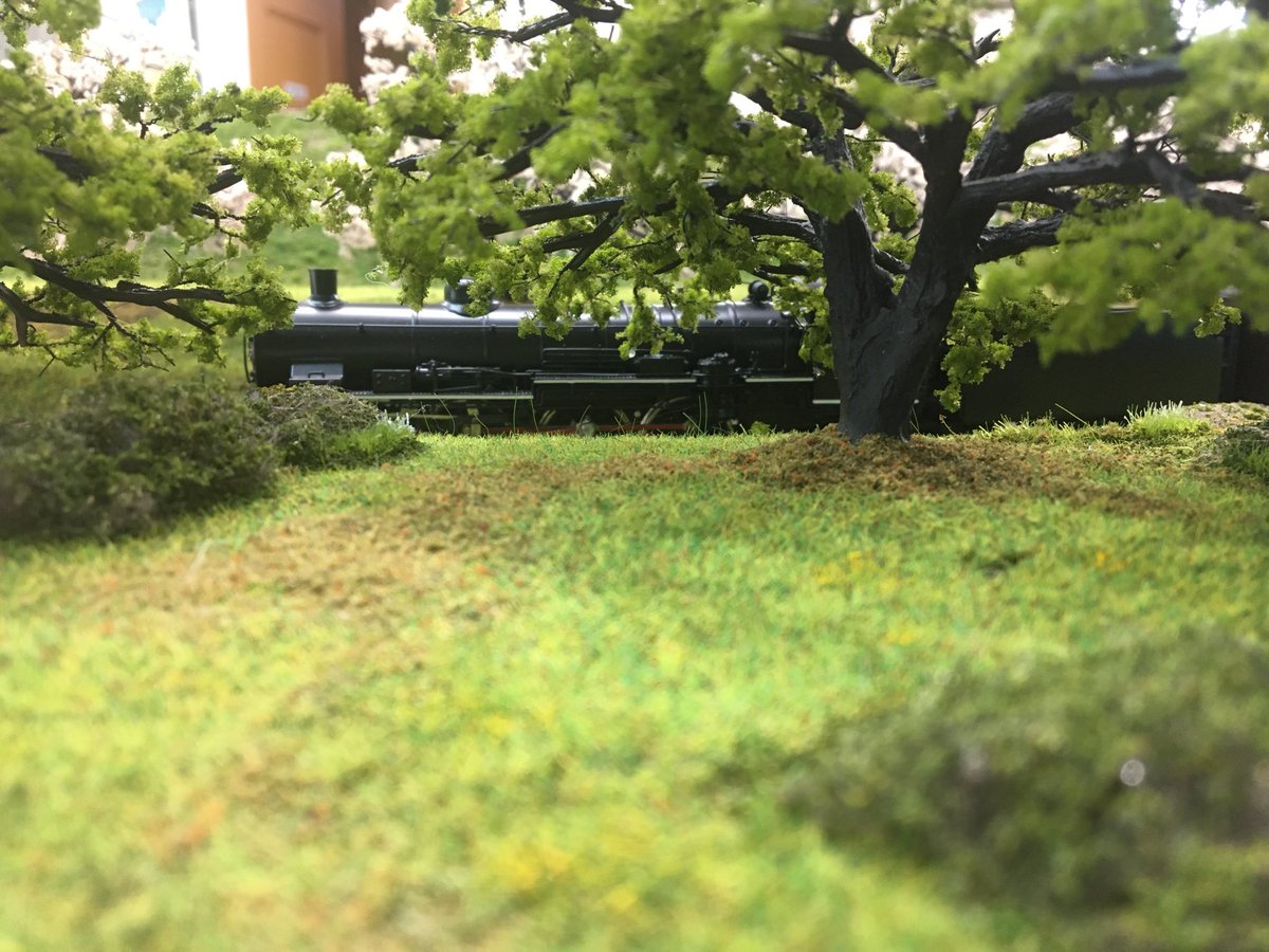 トレインドリーム tweet media