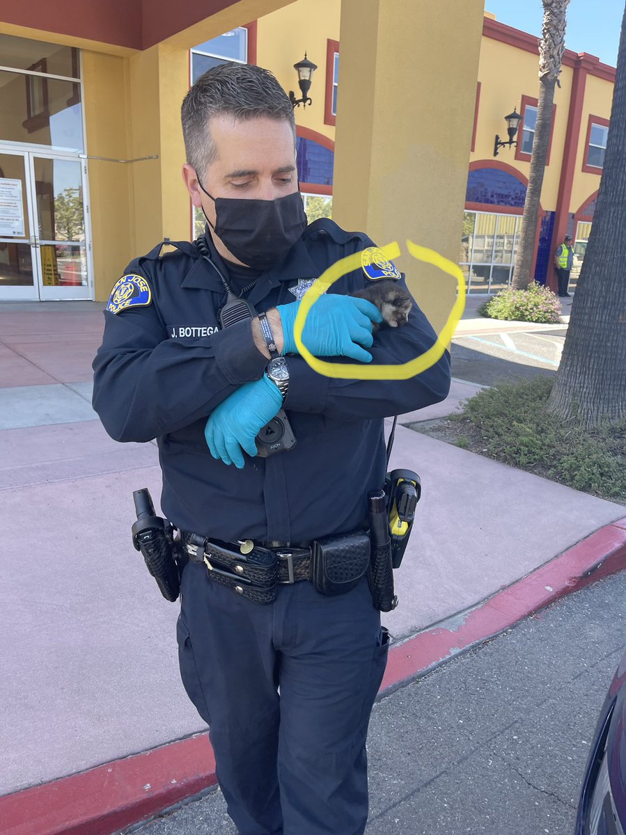 San José Police Media Relations tweet media