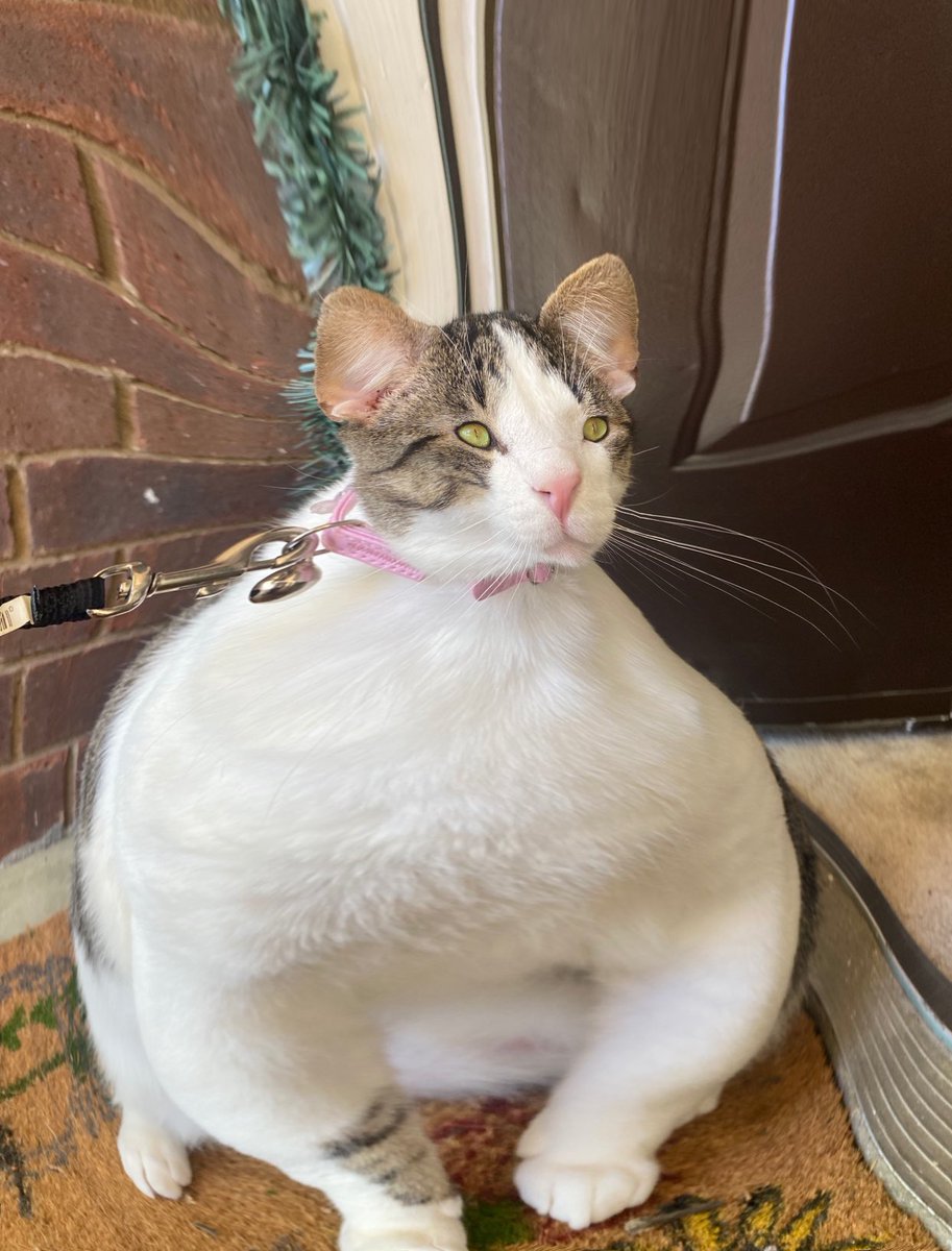 mom says she didn’t edit this at all but.....