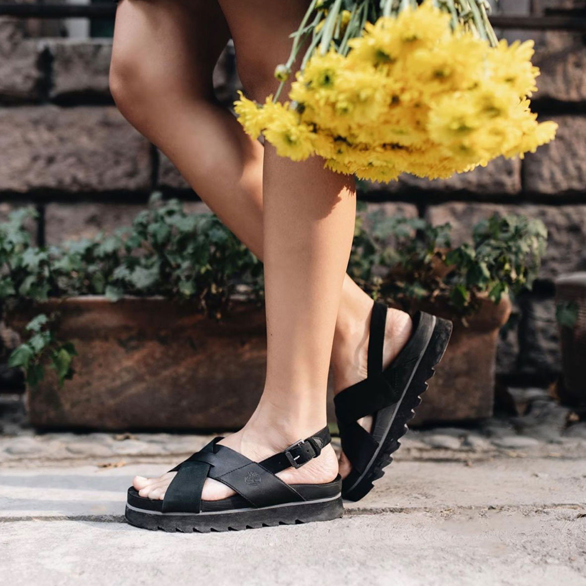 Centro Santa Fe tweet media