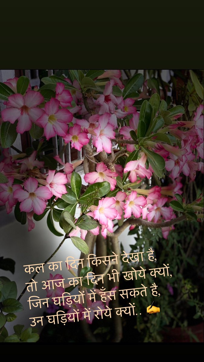 AchalSingh93's tweet photo. #Quarantine_Thoughts✍️ https://t.co/HdagJsKjRy